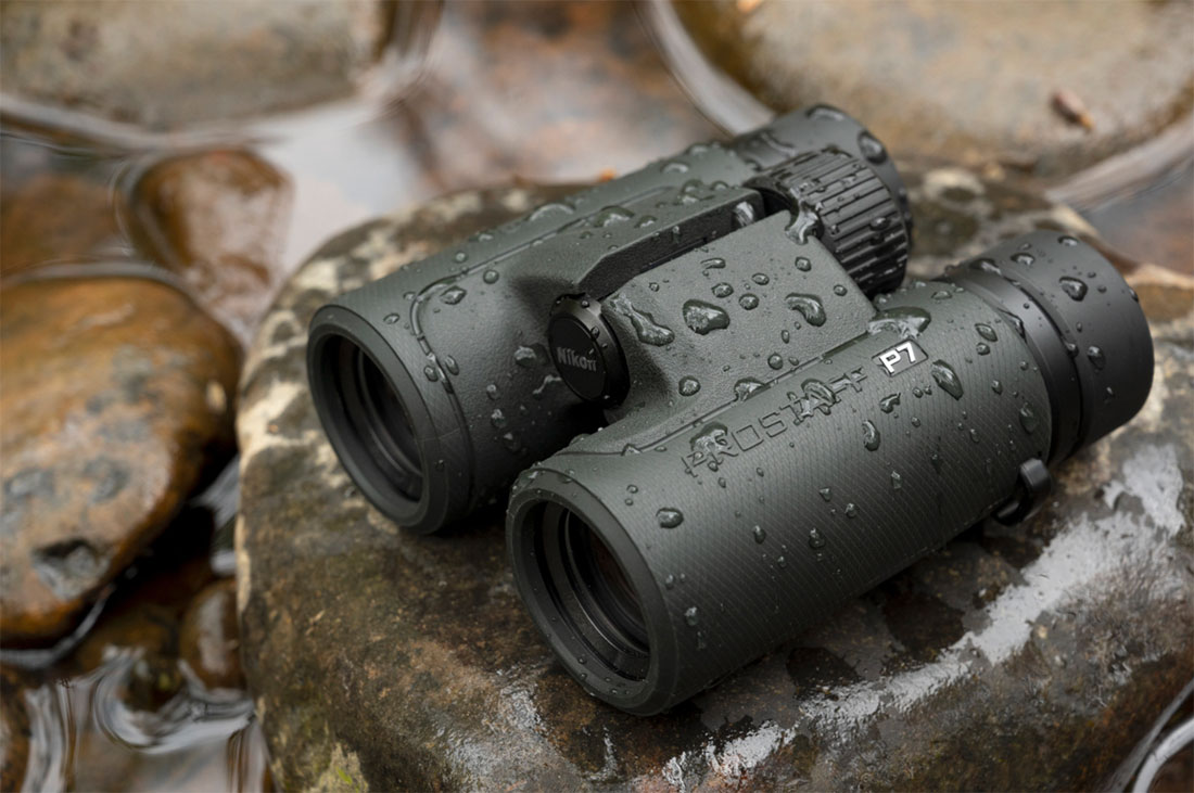 Observe wildlife with Nikon Prostaff p7 10X42