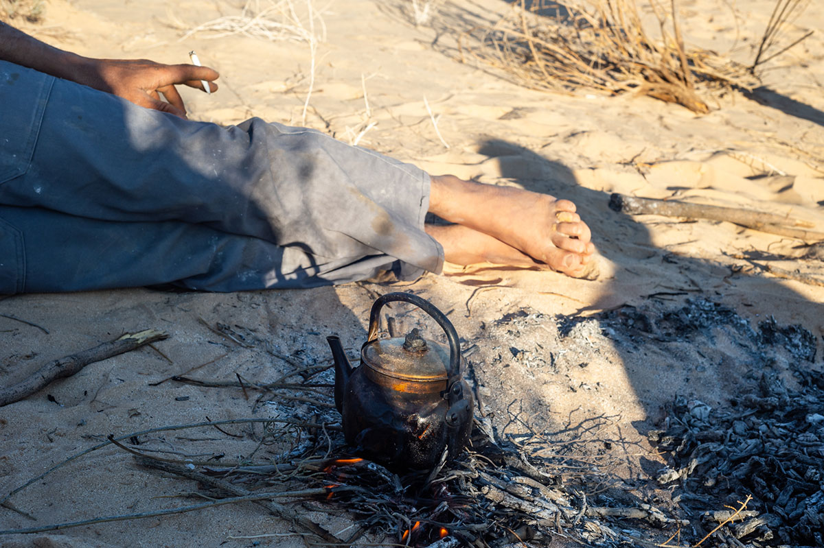 Thé dans le Sahara algérien