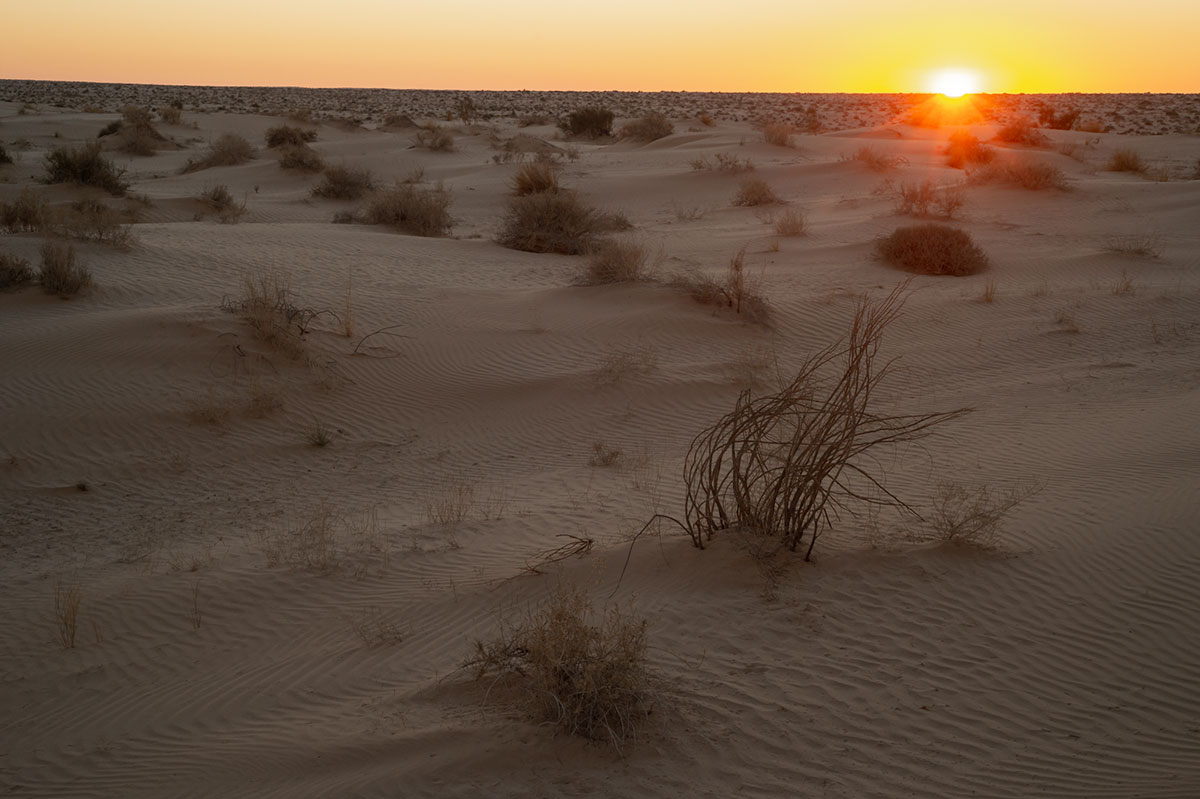Premier lever de soleil dans le Sahara algérien