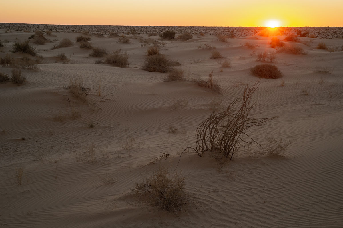 First sunrise in the Algerian Sahara