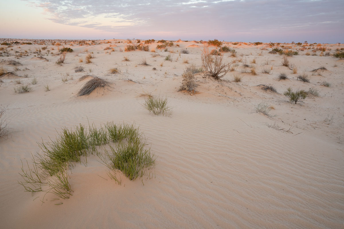 Les lumières du Sahara transforment le paysage