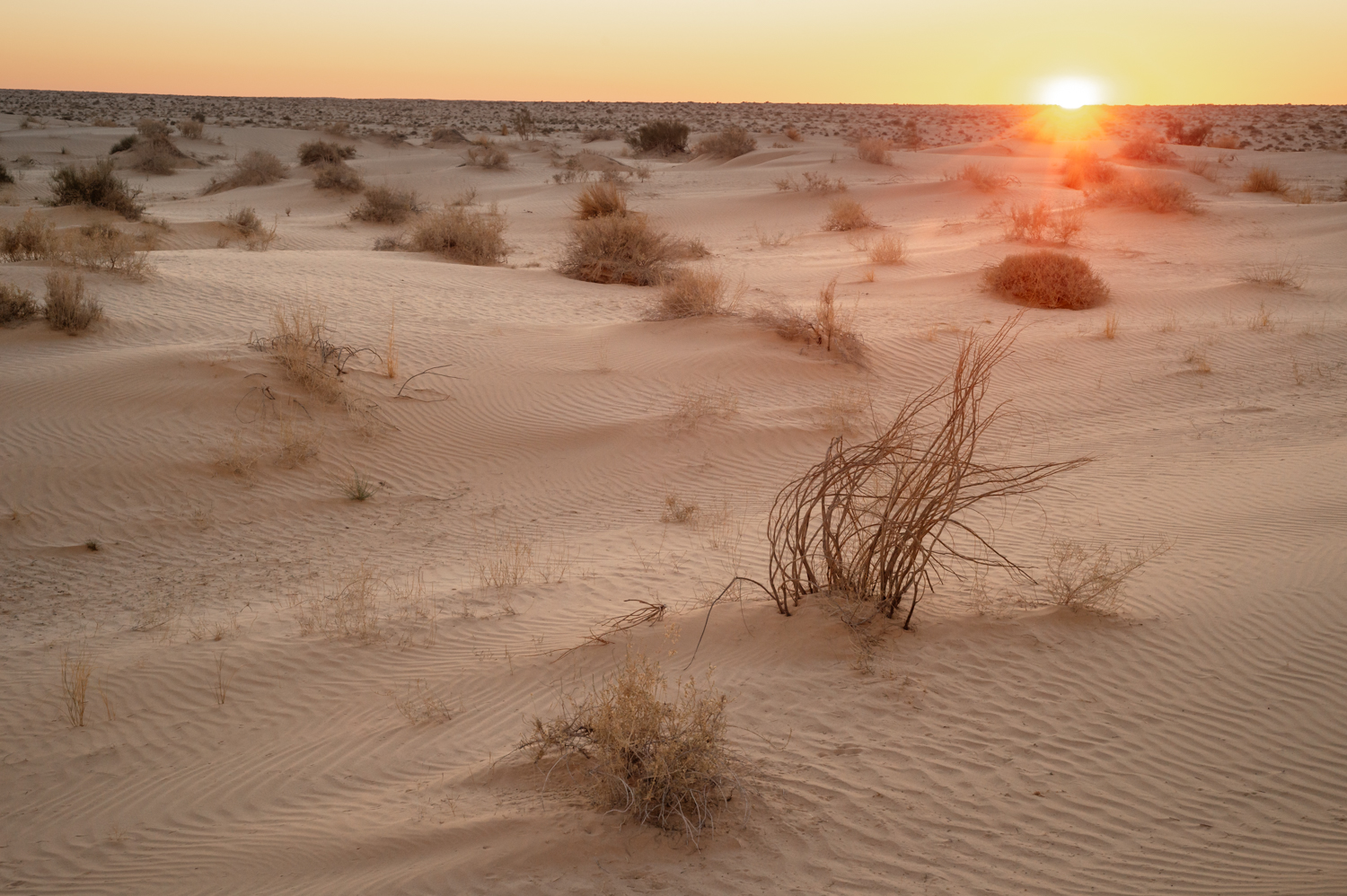 The Sahara below sea level at Oued Souf