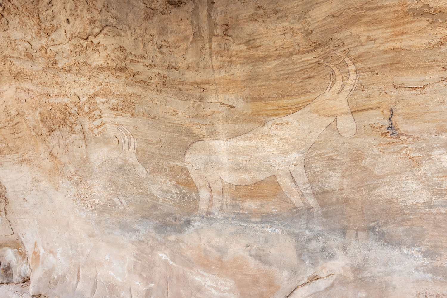 Rock painting in Tassili n'Ajjer