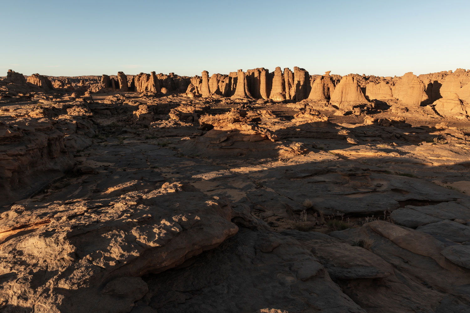 The Tassili n'Ajjer