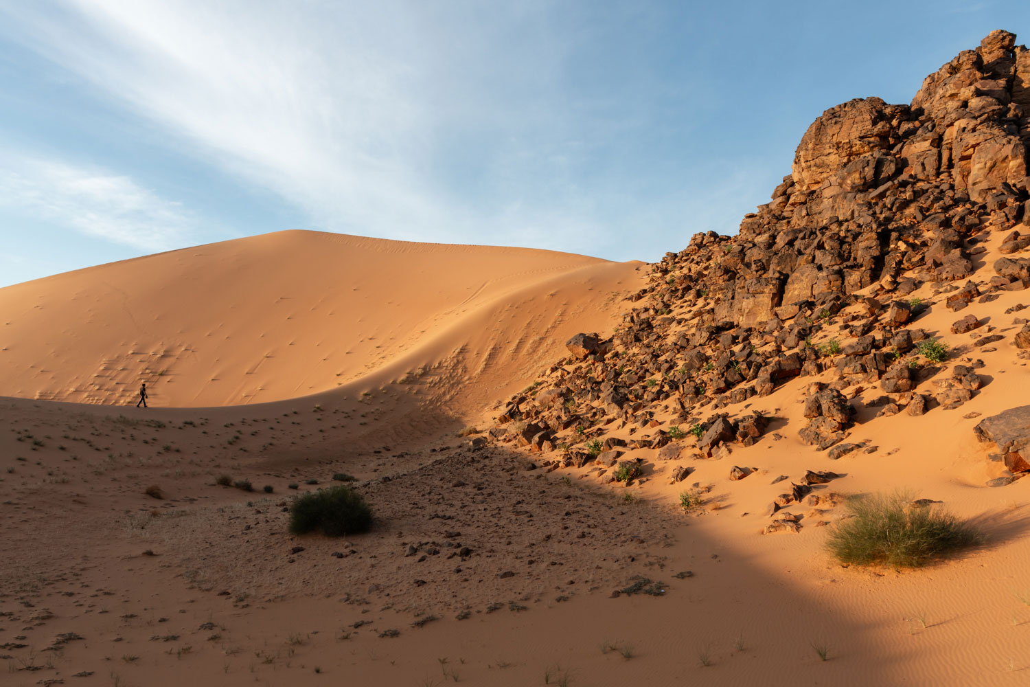Visit Tassili n'Ajjer in Algeria